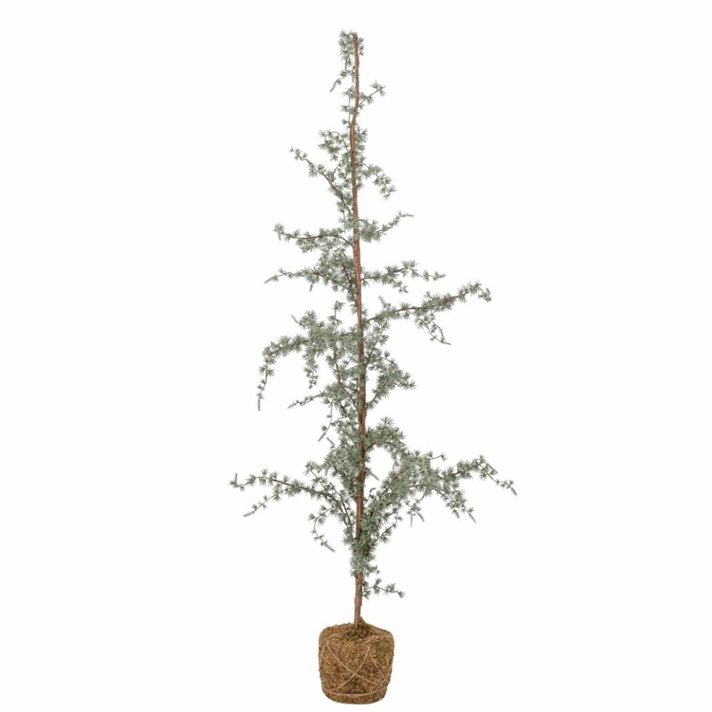 Tall Thin Christmas Tree in Pot 150cm | Annie Mo's