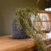 Tilliandsia Trailing Faux Plant 76cm