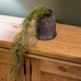 Tilliandsia Trailing Faux Plant 76cm