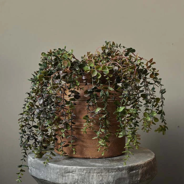 Eucalyptus Trailing Branch 69cm | Annie Mo's