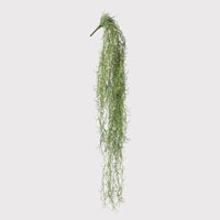 Trailing Spanish Moss 80cm