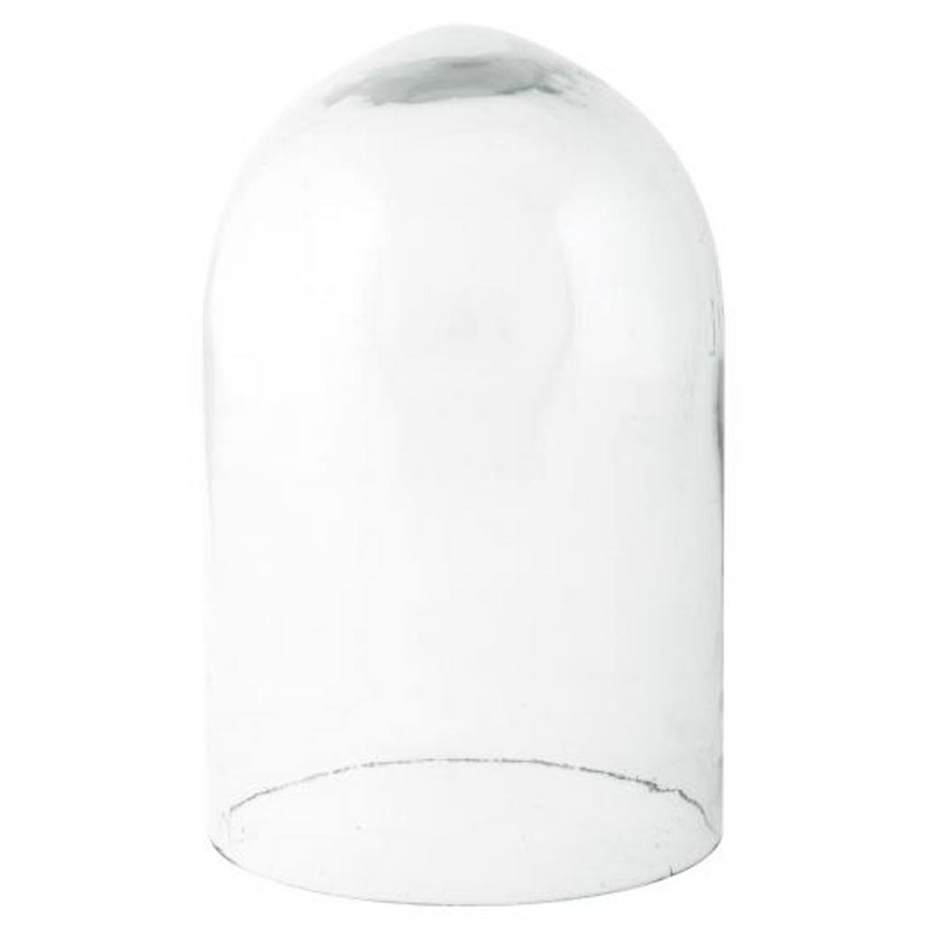 Small Glass Dome 15cm | Annie Mo's