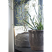 Rustic Pot Cleopatra 18cm
