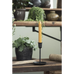 Curry Rustic Dinner Candle 18cm