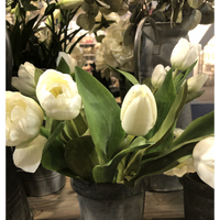 Tulip Mix White 36cm | Annie Mo's