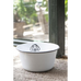 Bowls for Dogs Enamel