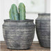 Grooved Rustic Grey Planter - Room Shot | Annie Mo's