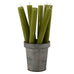 Rustic Dinner Candle Fern Green 27cm | Annie Mo's
