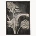 Brockby Framed Midnight Palm Wall Art 70cm | Annie Mo's