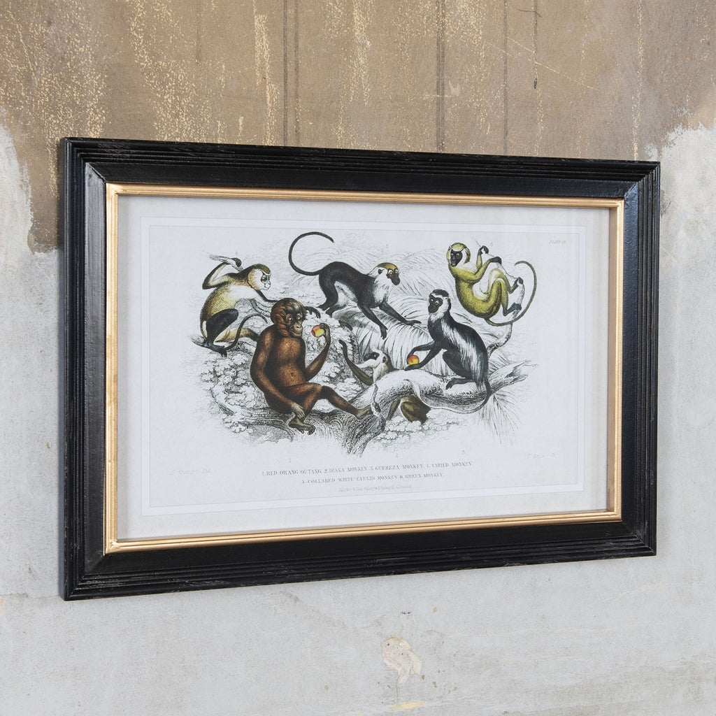Brockby Monkey Wall Art 60cm |  Annie Mo's