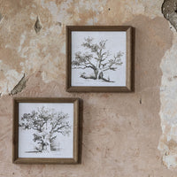 Brookby Set Of Two Oak Tree Wall Art 30cm