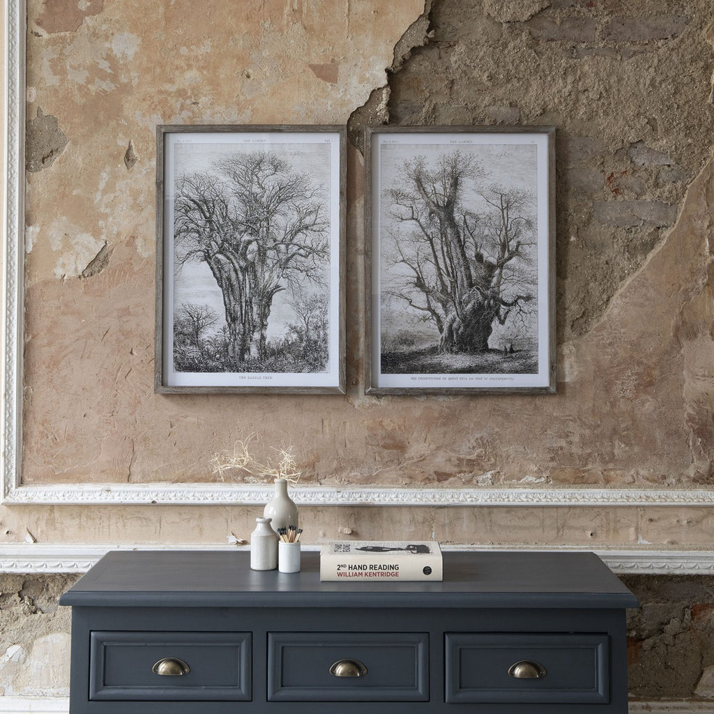 Brookby Set Of Two Old Tree Wall Art 70cm