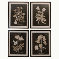Set of Four Midnight Botanical Wooden Framed Wall Art | Annie Mo's