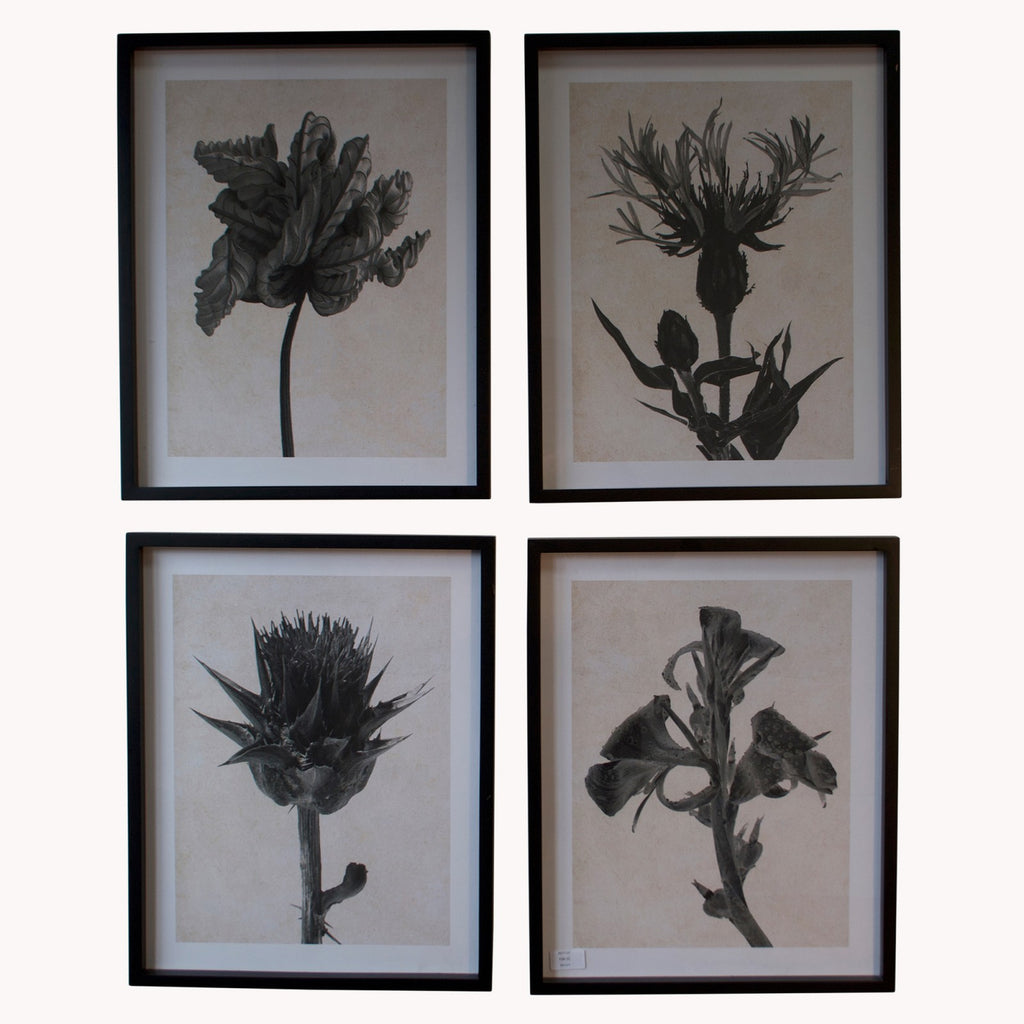 Set of Four Framed Monochrome Prints 50cm | Annie Mo's