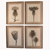 Set of Four Framed Poppy Monochrome Prints 70cm | Annie Mo's