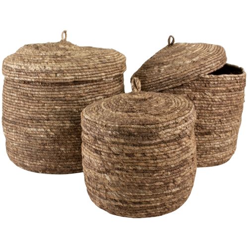 Set of Three Corn Lidded Baskets Cocoa  42cm | Annie Mo's