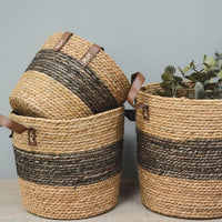 Seagrass Basket Tall with Handle Charcoal Band - Set of 3 | Annie Mos