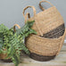 Seagrass Basket Tall with Handle Charcoal Base - Set of 3 | Annie Mos