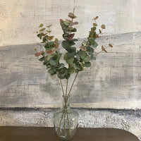 Natural Blush Eucalyptus Spray 85cm | Annie Mo's