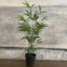 Faux Bamboo in Pot 65cm | Annie Mo's C