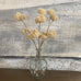 Beige Dry Look Clematis Stem 66cm | Annie Mo's Room Shot 2