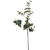 Eucalyptus Stem 90cm | Annie Mo's