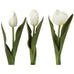 Tulip Mix White 36cm