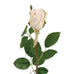 Cream Rose 50cm | Annie Mo's