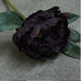 Peony Plum 36cm