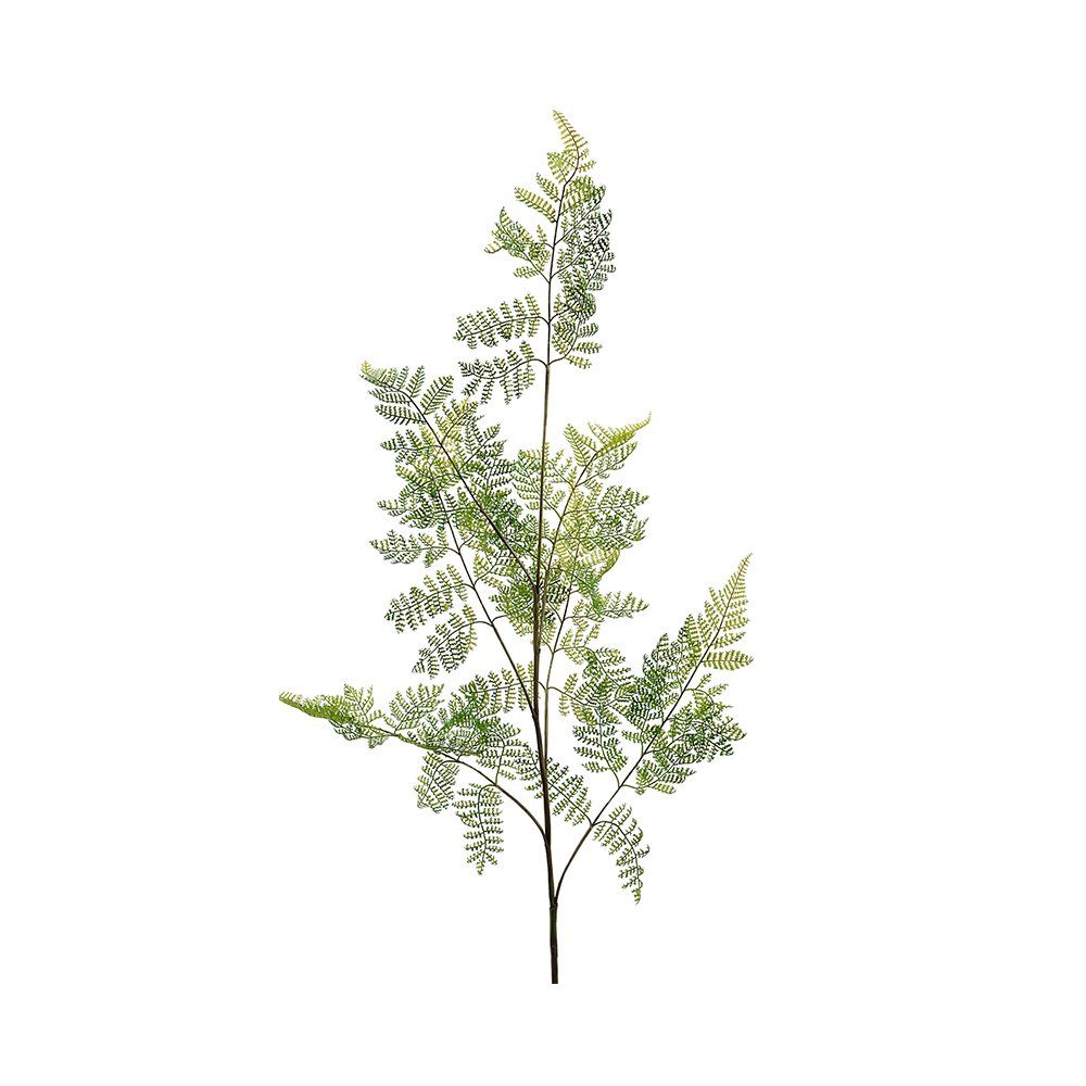 Fern Leaf 140cm | Annie Mo's
