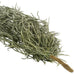 Tilliandsia Trailing Faux Plant 76cm
